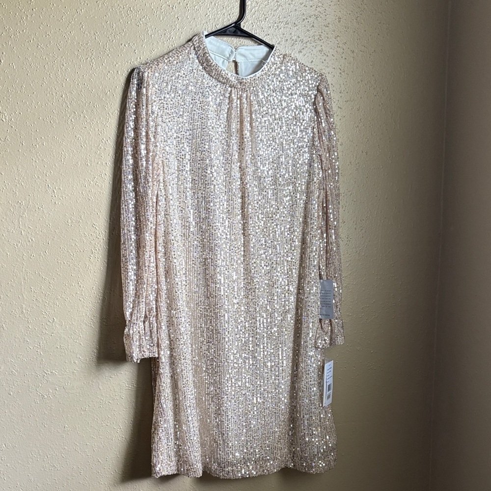 Julia Jordan Sparkling Long Sleeve Dress in Champagne